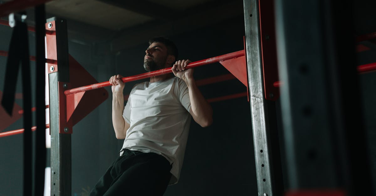 Tapirstrength Fitness Club collection
